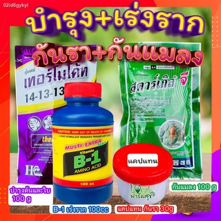 บำรุง+เร่งราก+กันรา+กันแมลง ☘ ปุ๋ยเทอร์โมโค้ท+น้ำยาเร่งรากB1+สตาร์เกิลจีกำจัดแมลง +แคปแทนกันรา ปุ๋ยบอนสี ปุ๋ยกุหลาบ ปุ๋ย