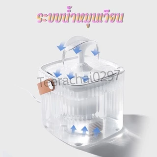 น้ำพุแมว น้ำพุน้องหมา น้ำพุสัตว์เลี้ยง มีใส่กรองน้ำ กรองน้ำสำหรับสัตว์เลี้ยง แบบใส น้ำพุแมวสัตว์เลี้ยง