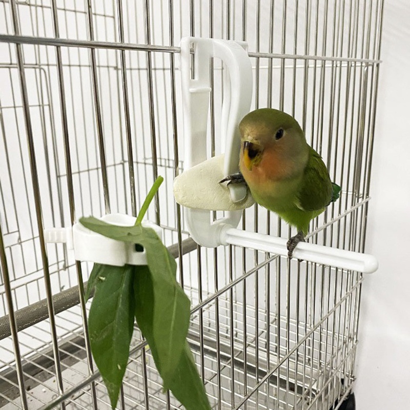 Cozy Bird Holder Cuttlebone Clips เครื่องป้อนที่ทนทานสําหรับกรงใช้งานง่าย