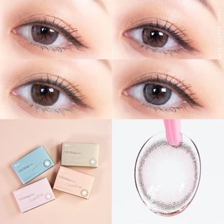 (Monthly) OLENS รุ่น VIVI RING Brown, Gray, Choco, Beige, Pink คอนแทคเลนส์เกาหลี สายตา 0.00 ถึง -5.50