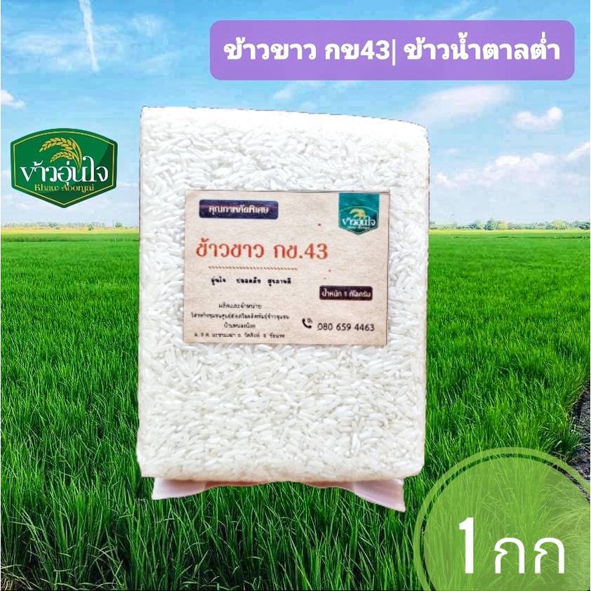 ข้าวขาวกข43  1 กก ข้าวอินทรีย์