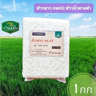 ข้าวขาวกข43  1 กก  ข้าวหอม ข้าวน้ำตาลต่ำ ข้าวสำหรับเบาหวาน ลดน้ำหนัก