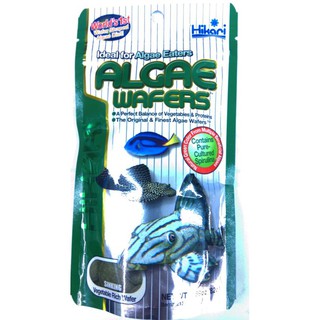 Hikari Algae Wafers อาหารสำหรับกลุ่มปลาแคทฟิช/ปลาทะเลบางชนิด 82 g