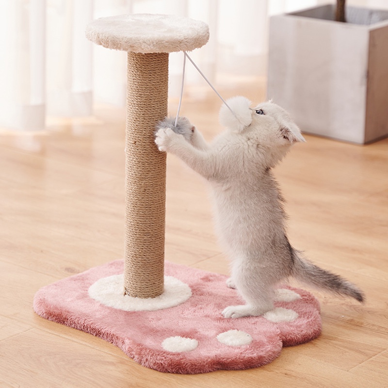 Small Cat Climbing Fun Relieve Boredom Tree House Cat Cat Scratchers