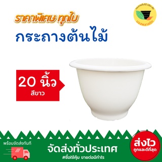 (เก็บโค้ดส่งฟรีหน้าร้านค้า) กระถาง 20 นิ้ว กระถางพลาสติกสีขาว กระถางพลาสติก 20 นิ้ว