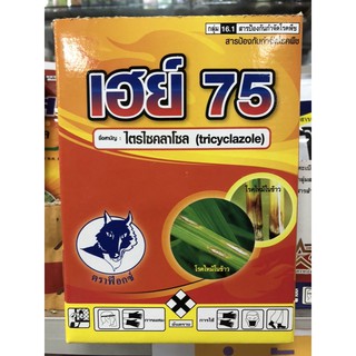 เฮย์75 #ไตรไซคลาโซล 75% #โรคใบไหม้ในพริก #โรคใบไหม้ในมะเขือเทศ #โรคใบกรอบในมะละกอ