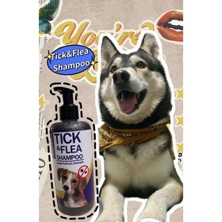 42pet tick&amp;flea shampoo 330 ml แชมพูสูตรกำจัดเห็บหมัด กลิ่นหอม อ่อนโยน ลดกลิ่น ขนนุ่ม