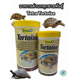 อาหารเต่าบก Tetra tortoise