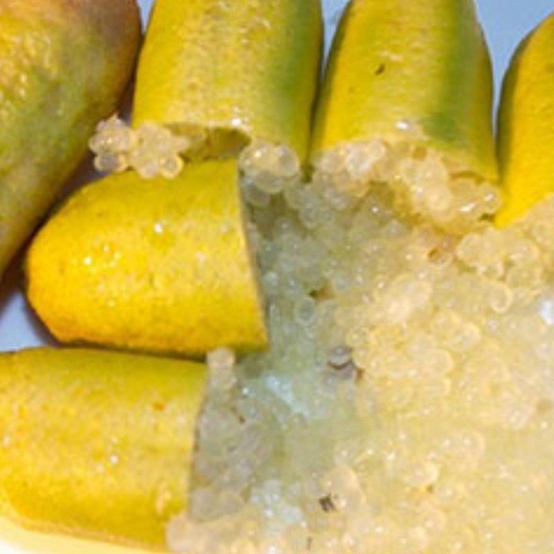 ต้นมะนาวนิ้วมือ มะนาวคาเวียร์ Finger lime พันธุ์ YELLOW LIMONET ลำต้นสูง 30 ซม