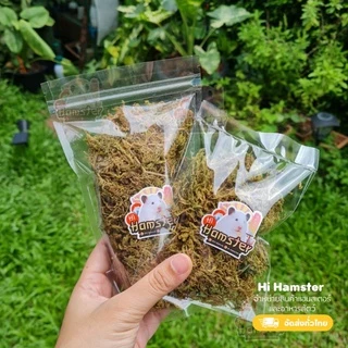 Niteangel หญ้า มอส แห้ง moss ป่ามอสสำหรับหนูแฮมสเตอร์ ทำรัง จัดสวนแนวธรรมชาติ