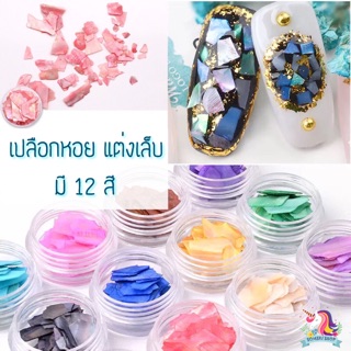 💜พร้อมส่ง💜เปลือกหอยแต่งเล็บ 12 สี แบบบาง ติดง่าย