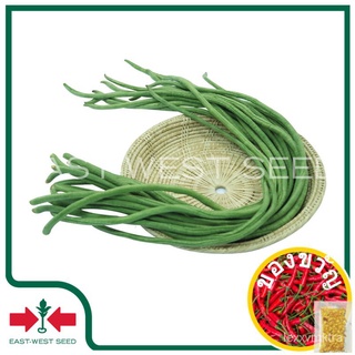 East-West Seed เมล็ดพันธุ์ ถั่วฝักยาว (Yard long bean seeds) ลำน้ำชี เมล็ดพันธุ์ผัก เมล็ดพันธุ์ ผักสวนครัว ตราศรแดงมุโก/