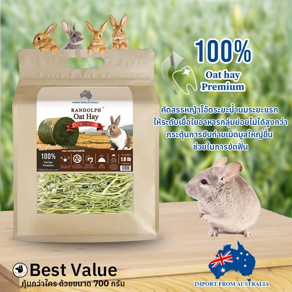 CatHoliday หญ้าแห้ง Randolph เกรดซุปเปอร์พรีเมียม สำหรับกระต่าย และสัตว์ฟันแทะ - รูปที่ 4