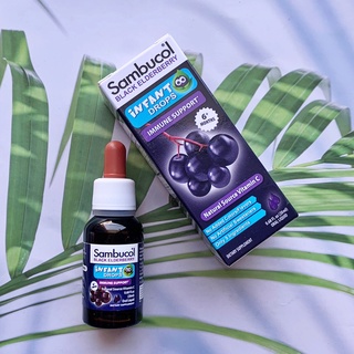 อัลเดอร์เบอร์รี่ แบบน้ำ สำหรับเด็กอายุ 6 เดือนขึ้นไป Black Elderberry Infant Drops 6+ Months 20 ml (Sambucol®)