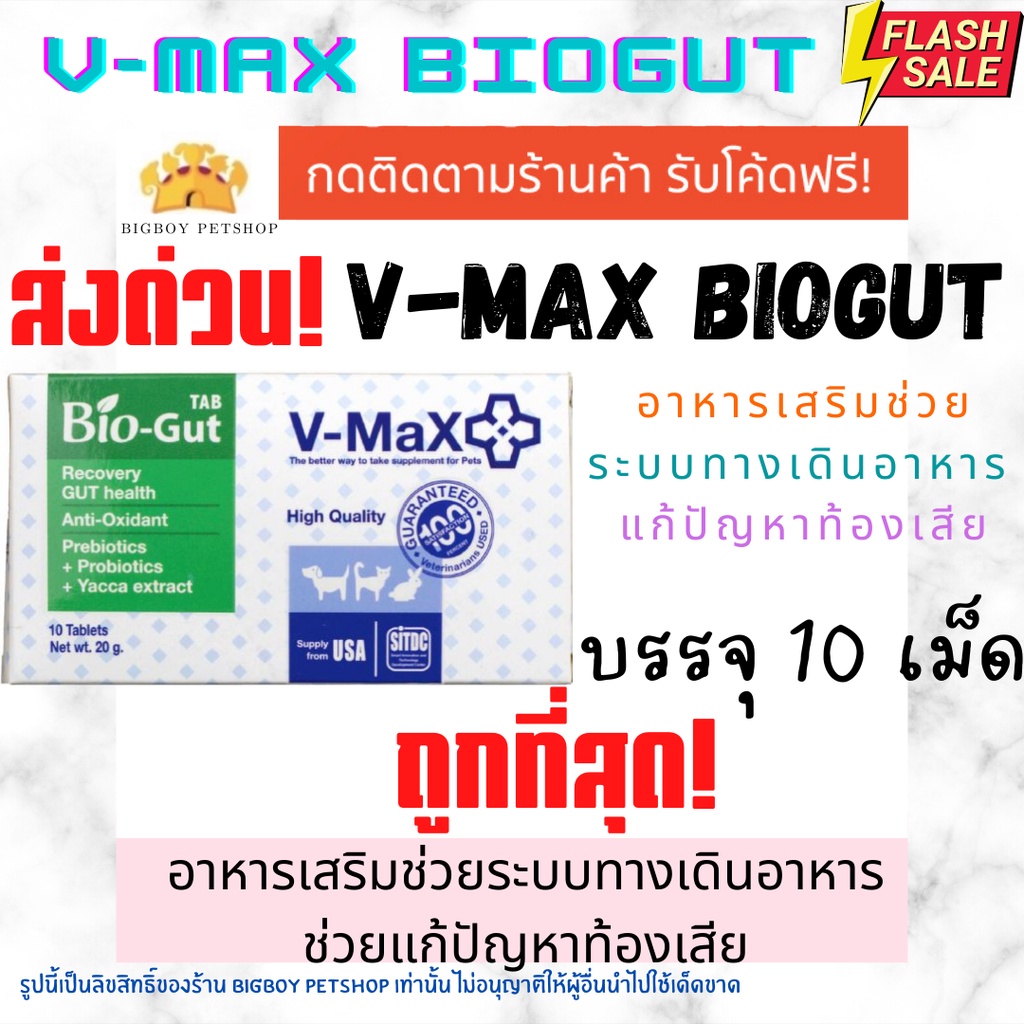 ถูกที่สุดV-max Bio Gut อาหารเสริมช่วยระบบทางเดินอาหารช่วยแก้ปัญหาท้องเสีย บรรจุ 10 เม็ด V max biogut