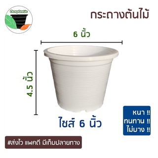 (เก็บโค้ดส่งฟรีหน้าร้านค้า) กระถางต้นไม้พลาสติกสีขาว 6 นิ้ว จานรองสีขาว 6 นิ้ว