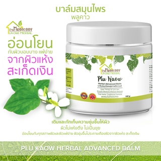 บ้านหมอละออง บาล์มสมุนไพร พลูคาว 100g บาล์ม สะเก็ดเงินใช้ได้ สารสกัดสมุนไพรโดยผู้เชี่ยวชาญ บาล์มพลูคาวแอ๊ดวานซ์ Advanced