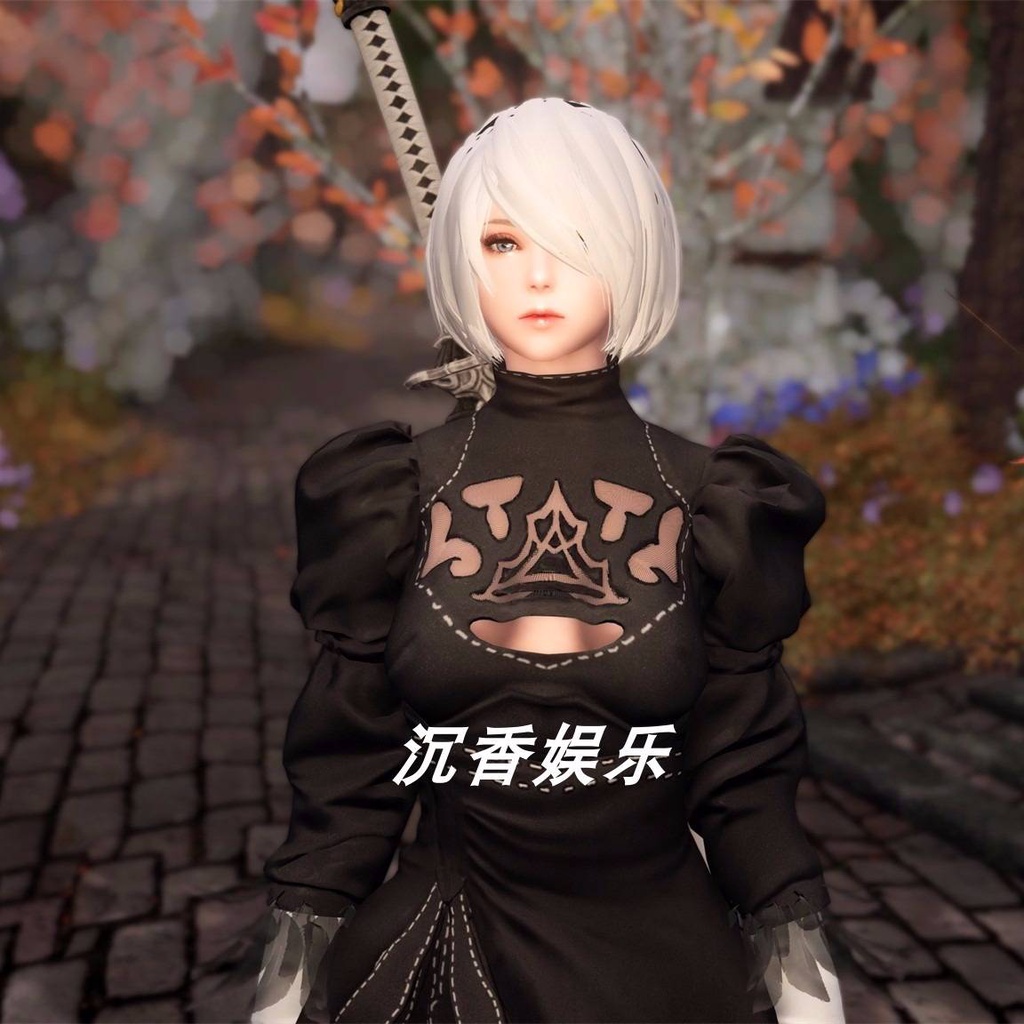 The Elder Scrolls 5 Sounds Rehabilitation Edition Old Rolling 5 Tape Laboratory Mod Integration เกมเ