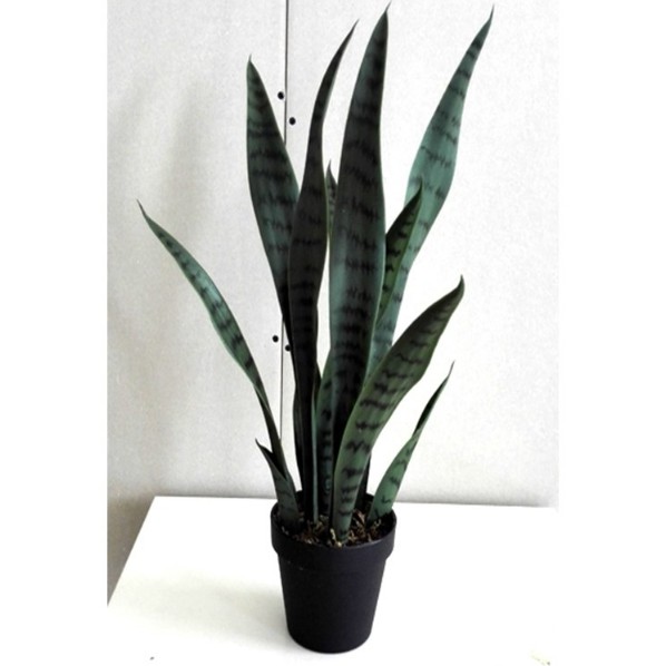 GlobalHouse TreeO ต้นลิ้นมังกร ประดิษฐ์  สูง 50CM รุ่น AL17T090 สีเขียว สินค้าของแท้คุณภาพดี