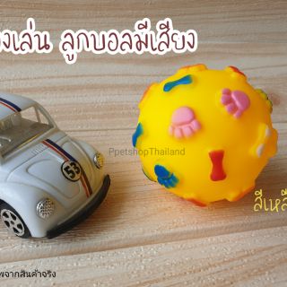 ลูกบอลของเล่น สำหรับสัตว์เลี้ยง