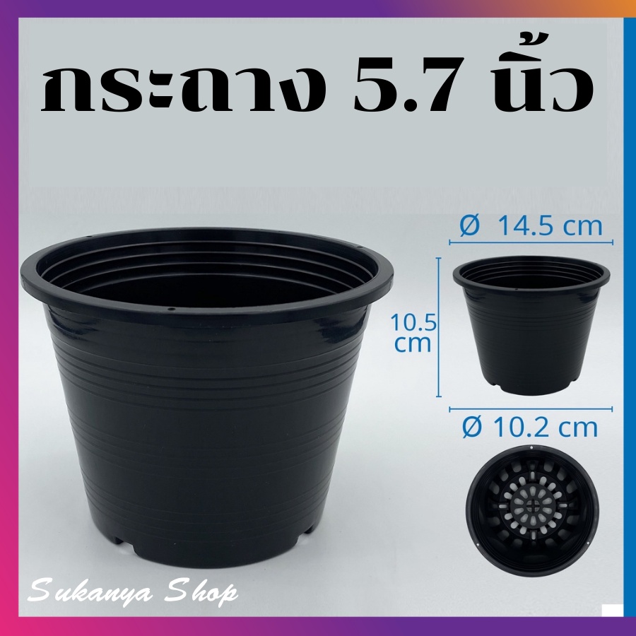 🌈🌈กระถางพลาสติก ขนาด 5.7นิ้ว กระถางต้นไม้ กระพลาสติกสีดำ กระถางปลูกต้นไม้ ปลูกต้นไม้ ราคาถูก แพ็ค 25