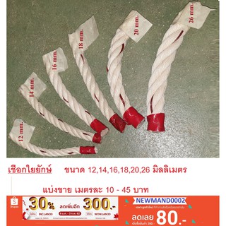 เชือกใยยักษ์ แบ่งขายเมตรละ 10-45 บาท ขนาด 12,14,16,18,20,24,26 มม. มัดของ เชือกทำชิงช้า เชือกลากเรือ เชือก ใยยักษ์ เรือ