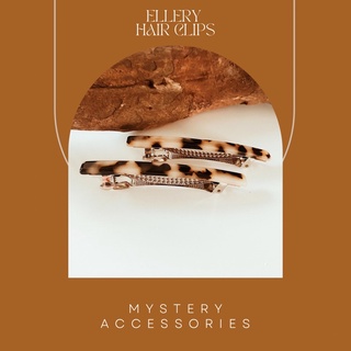 H110: Ellery Hair Clips | Mystery Accessories