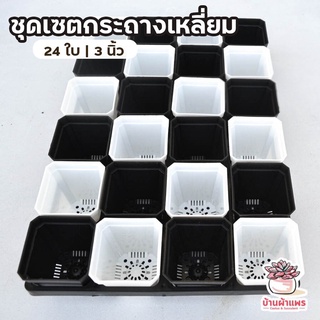 ชุดเซตกระถางเหลี่ยม 3 นิ้ว ( 7 x 5 x 7.8 ซม. ) 24 ใบ พร้อมถาดหลุม 24 ช่อง