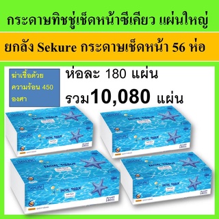 ยกลัง 56 ห่อ กระดาษเช็ดหน้า กระดาษทิชชู่ Sekure ซีเคียว กระดาษทิชชู่เช็ดหน้า ห่อใหญ่ แผ่นใหญ่ สะอาด FACIAL TISSUE