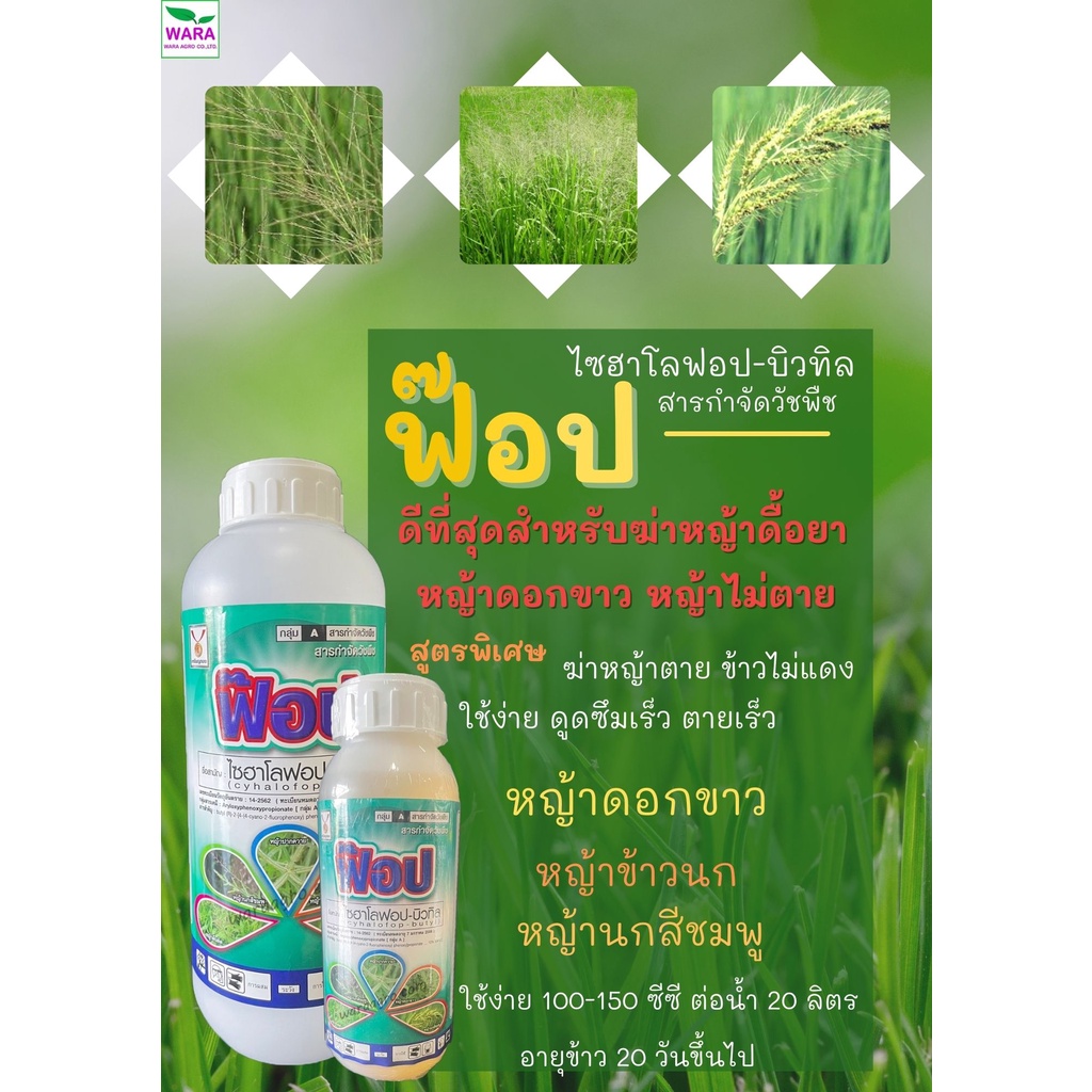 ยาฆ่าหญ้าดอกขาว หญ้าไม้กวาด หญ้าข้าวนก หญ้าใบแคบ หญ้าใบแหลม ในนาข้าว สับปะรด ไซยาโลฟอปบิวทิล10 เข้มข้น ฟ๊อป