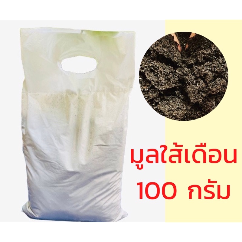 มูลใส้เดือนแท้ ปุ๋ยธรรมชาติ 100 กรัม ถุงเล็ก มูลแท้ 100% วัสดุปลูก