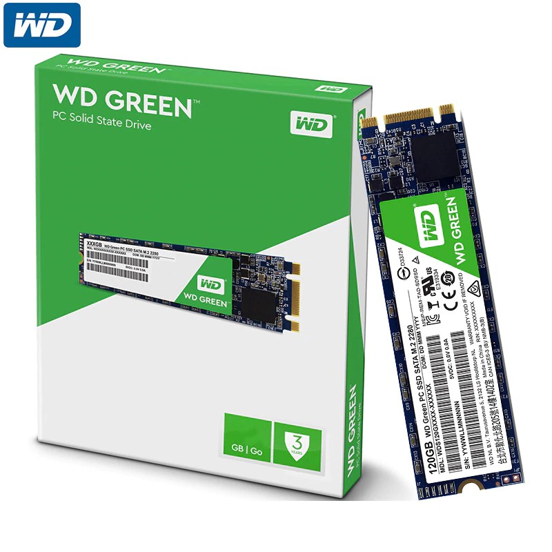 Сколько гарантия на ssd wd green