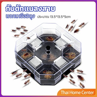 ที่ดักแมลงสาบ ที่ดักแมลงสาบ กล่องดักแมลงสาบ  cockroach trap