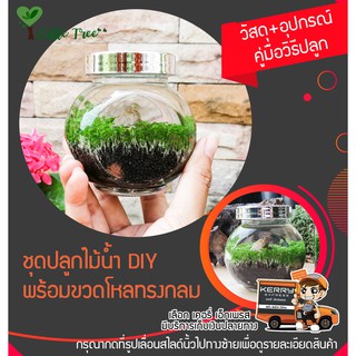 ชุดปลูกไม้น้ำ DIY พร้อมขวดโหลทรงกลม