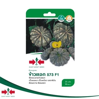 ศรแดง เมล็ดพันธุ์ฟักทอง ข้าวตอก 573 F1 (East-West Seed) เมล็ดพันธุ์ผัก เมล็ดพันธุ์ ผักสวนครัว ตราศรแดง