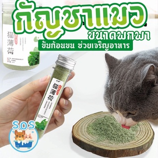 กัญชาแมว🍀🐱 Catnip ออร์แกนิคแบบหลอด ช่วยขับถ่ายขน ช่วยระบบเผาผลาญ เจริญอาหาร