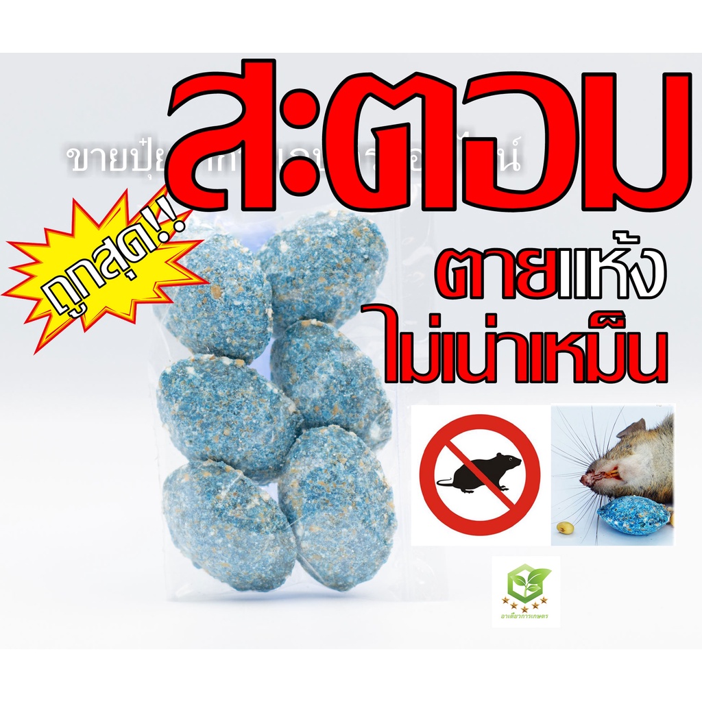 5เม็ด สะตอม (STORM) สารกำจัดหนู แบ่งขายแพคละ เหยื่อพิษกำจัดหนู ยาเบื่อหนู หนูแห้งตาย กับดักหนู
