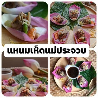 แหนมเห็ด 3 อย่าง ผสมข้าวไรซ์เบอร์รี่ (แม่ประจวบ) แพ็ค 500 กรัม