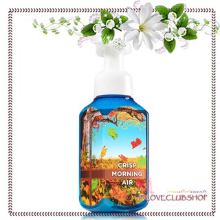 Bath &amp; Body Works  Gentle Foaming Hand Soap 259 ml.  Crisp Morning Air