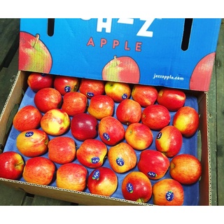 TOP-1แอปเปิ้ลแจ๊ส (7ลูก) (USA/NZL) ~ลดพิเศษ~ Jazz Apple หวาน กรอบ อร่อย ! ผลไม้ต่างประเทศ ผลไม้พรีเมี่ยม