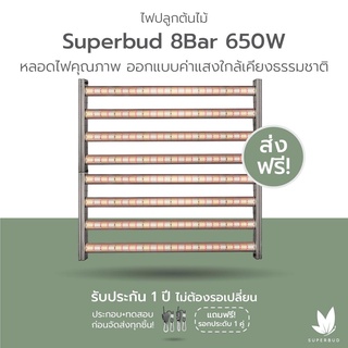 [ส่งฟรี] ไฟปลูกต้นไม้ Superbud 8 บาร์ 650W SAMSUNG LM301H 3000K + 5000K + OSRAM