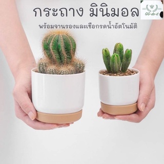 กระถางมินิมอล มีจานรอง กระถางรดน้ำอัตโนมัติ แบบ​เก็บ​น้ำ​ได้​   กระถางรดน้ำต้นไม้อัตโนมัติ ตกแต่งร้าน กระถางต้นไม้