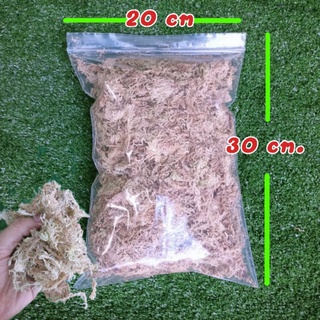 Sphagnum Moss สแเฟ็กนั่มมอส พร้อมใช้งาน ไซด์XL