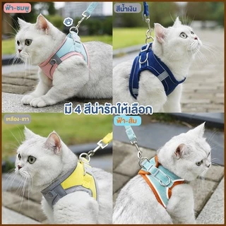 KUMAま เสื้อรัดอก พร้อมสายจูง เกรดพรีเมี่ยม มีแถบสะท้อนแสง S/M/L/XL สายจูง สายจูงสัตว์เลี้ยง เสื้อหมา เสื้อแมว