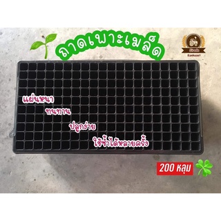 ถาดเพาะกล้า ถาดเพาะชำ ถาดเพาะเมล็ด ถาดเพาะต้นกล้า200หลุม(แพ็ค5ใบ)