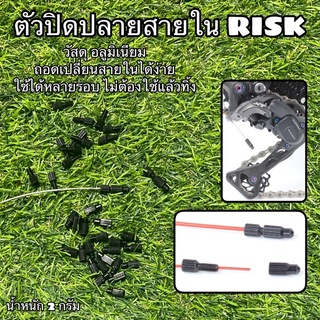 ตัวปิดปลายสายใน RISK