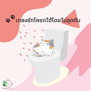 ทรายแมว No Brand กากมันสำปะหลัง ธรรมชาติ ดูดซับ 6 ลิตร เก็บกลิ่นดีที่สุด ทิ้งชักโครกได้ ลูกแมวใช้ได้