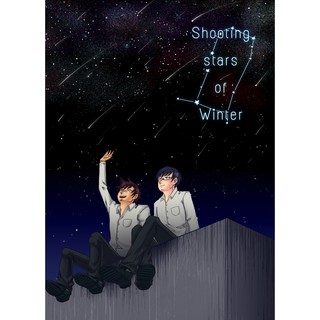 Shooting Star of Winter [VAVEE]