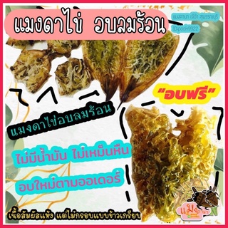 แมงดาไข่ อบลมร้อน มีไข่ทุกตัว ขายเป็นตัว