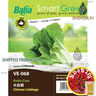 Baba Benih Kubis Cina Chinese Cabbage Seed F1 Hybrid Non-GMO VE-068 SHS Kebun手链/头饰/生菜/儿童/文胸/玫瑰/鲜花/裙子/向日葵/香菜/ OBKW